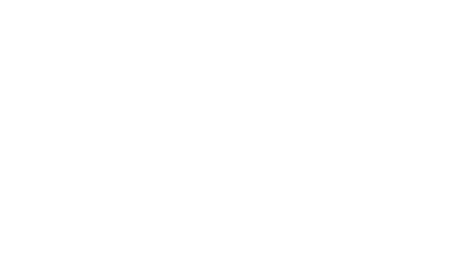 Rassemblement pour la Souveraineté Nationale